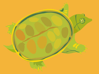 スッポンのイラスト