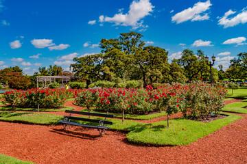 Panoramic view over Palermo district rosy park and garden with beautiful nature at sunny day and blue sky, Buenos Aires, Argentina