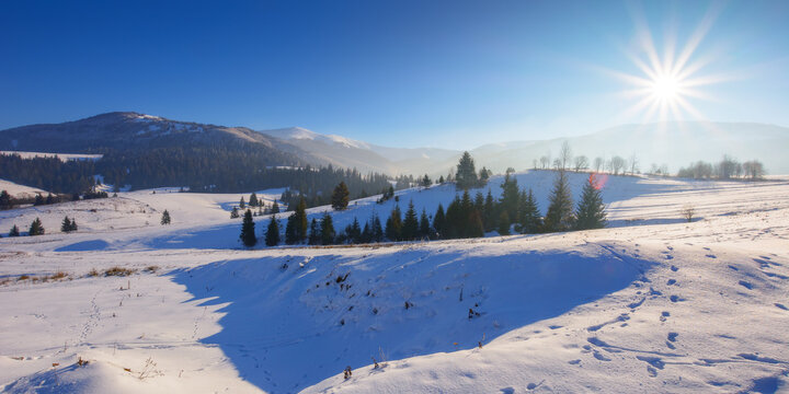 carpathian countryside in evening light. trees on a snowy rural fields and hill. snow capped peak and forested mountains in the distance. sun above the borzhava ridge