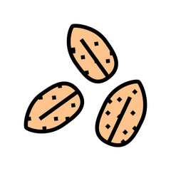 barley grain peeled color icon vector. barley grain peeled sign. isolated symbol illustration