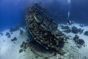 Scuba diver exploring a shipwreck in Egypt