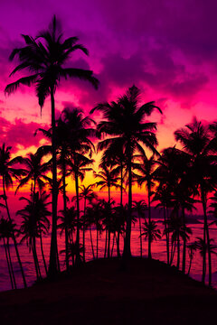 Coconut palm trees on tropical ocean island beach at vivid colorful sunset
