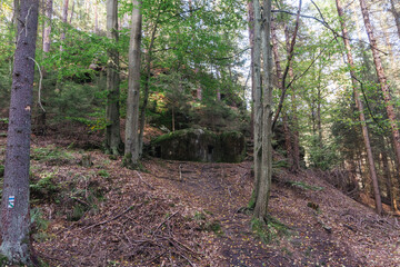 Idyllic and panoramic view of Czech Republic, National Park, Bohemian Switzerland, České Švýcarsko
