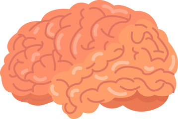 Icon various brain graphic element. PNG