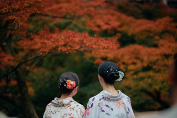 Young women wearing traditional Japanese Kimono and people with colorful maple trees in autumn is...