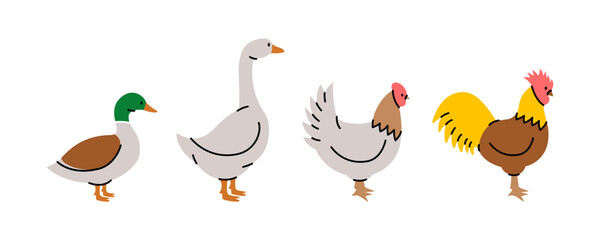 Set of farm birds. Chicken, Rooster, Duck, Goose silhouettes. Farm animals character set isolated on white background.