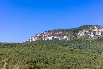 Fototapeta na wymiar Paysage de montagne dans la région Estella en Espagne, forêt de pin et montagne blanche calcaire
