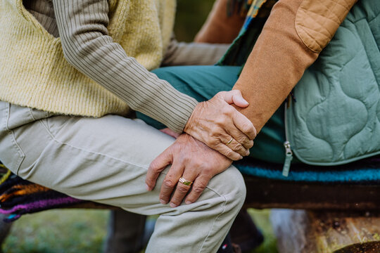 Mid Section Of Senior Couple Sitting On Bench And Hugging Each Other.