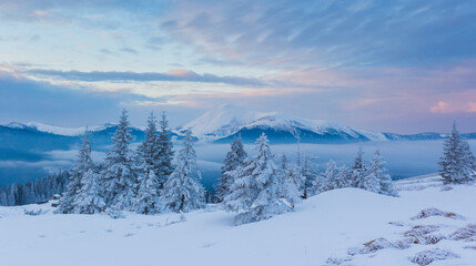 Incredible winter landscape with colorful sky. Frosty morning on the highland farm. Amazing sunrise in Carpathian mountains, Ukraine, Europe. Christmas holiday concept. Perfect winter wallpaper.