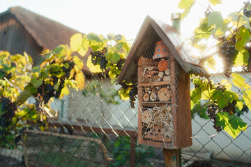 Insect house hanging in the garden, concept of ecology gardening and sustainable lifestyle.