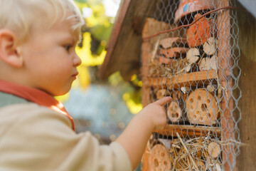 Little boy looking at insect hotel. Concept of home education, ecology gardening and sustainable...