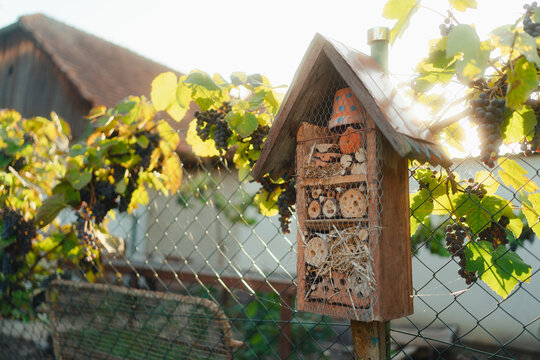 Insect house hanging in the garden, concept of ecology gardening and sustainable lifestyle.
