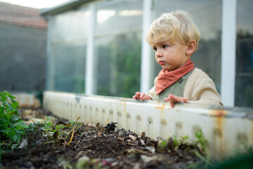 Little boy standing next to outdoor compost in their garden.