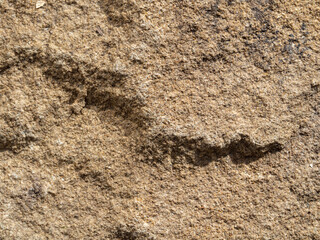 Texture of the background surface of the stone macro photo. Abstract textured stone background