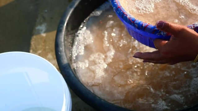 The fishermen wash and filter group of fresh Krill or Opossum shrimp with clean water, Plankton that fishermen trap for cooking in Thailand	