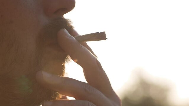 Man smoking marijuana, weed, joint, getting high, sunshine, smoke. 4K PRORES 422 24FPS.