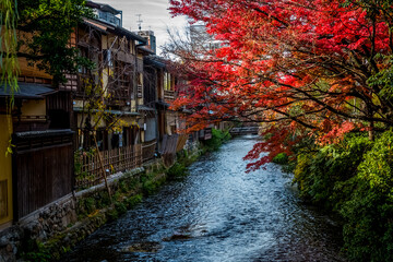 On the streets of Kyoto city in Japan