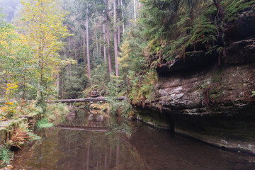 Idyllic and panoramic view of Czech Republic, National Park, Bohemian Switzerland, České Švýcarsko