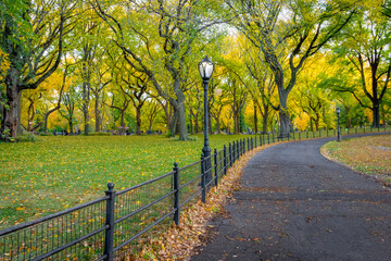 Walking Path Central Park