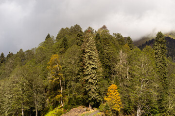 Mountain range with visible silhouettes through the morning colorful fog.