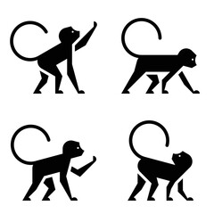 Set of Monkey, Monkey Logo. Icon design. Template elements © Nataliia