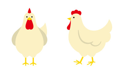 横向きと正面を向いたニワトリ