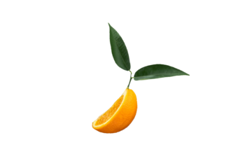 Fresh yellow oranges with green leaves isolated on a white background. Full Depth of field. Clipping path