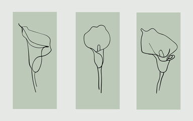 Callas flowers outline vector clipart. Flowers line art tattoo. Wedding Logo elements 
