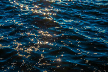 Contrasting highlights on dark water