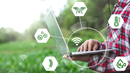 Farmer uses a laptop to analyze the growth of plants in the agricultural plot and visual icon, the...