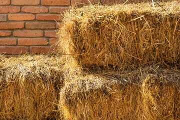 Haystack or straw. Mowed dry grass (hay) in a stack against a brick wall