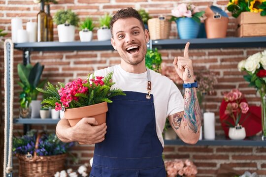 Young hispanic man working at florist shop holding plant pot smiling happy pointing with hand and finger to the side