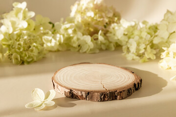 Wooden round podium with flowers and shadows on pastel background. Empty natural stand for...