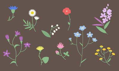 Set of different wildflowers. Beautiful flowers in flat style.