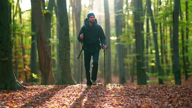 A young man goes hiking in the autumn forest.