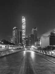 Skyline of downtown of Hong Kong city at night