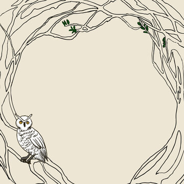 Background image hand drawn style nature tree branches frame and white owl memo template