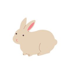 うさぎ