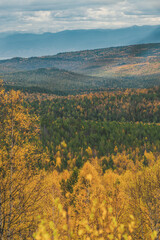 autumn landscape in the mountains