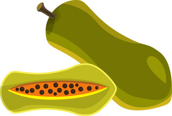 Illustration papaya fruit vegetable flat design.