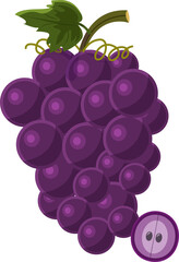 Illustration grapes fruit vegetable flat design.