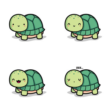 Turtle Cartoon