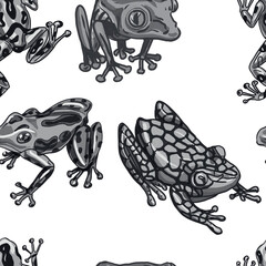 frogs colored bright tropical wildlife animals amphibians reptiles set separately on white background hand drawn realistic style clipart kids cartoon