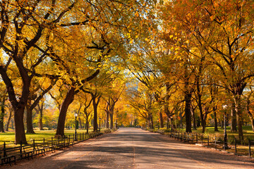 Poet's Walk promenade in Central Park in full autumn foliage colors. Manhattan, New York City
