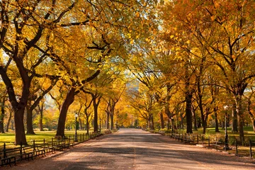 Foto auf Acrylglas Central Park Poet's Walk promenade in Central Park in full autumn foliage colors. Manhattan, New York City