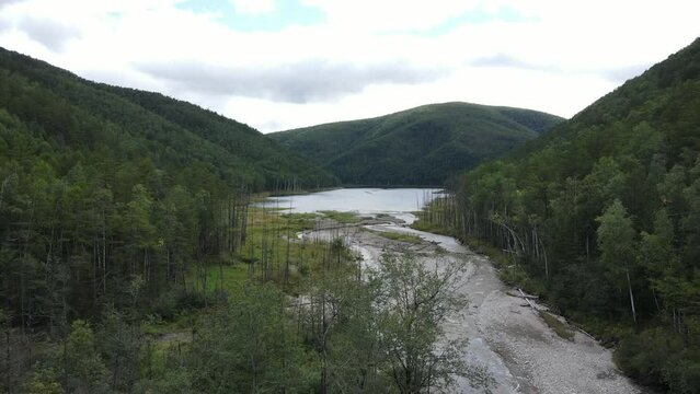View from above. Zeya Nature Reserve in summer. The bed of a large river, polluted by a gold miner, flows into a protected lake.