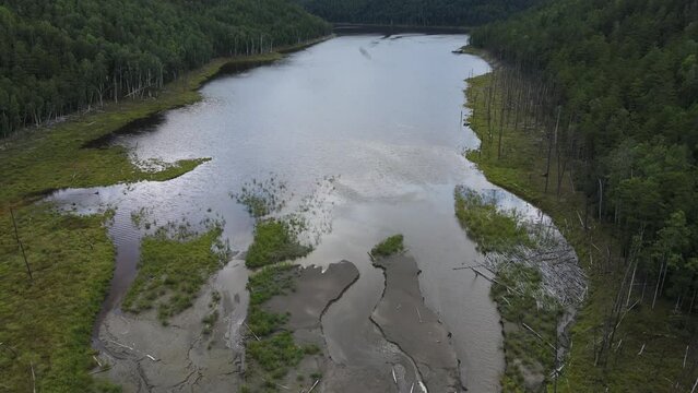View from above. Zeya Nature Reserve in summer. The bed of a large river, polluted by a gold miner, flows into a protected lake.
