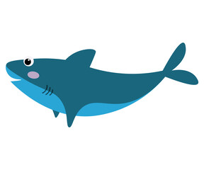 fish on a white background