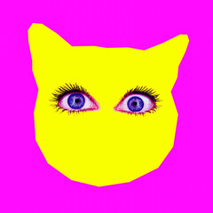 Fashion minimal collage art. Cat with humam eyes
