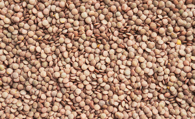 Beautiful lentils image